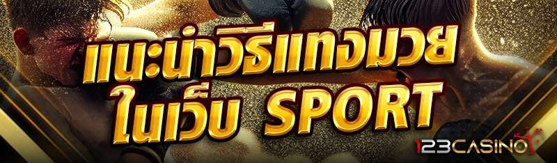 แนะนำวิธีแทงมวยในเว็บ SPORT